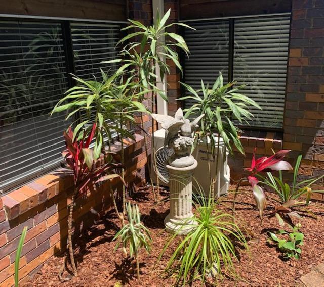 Montville Holiday Apartments Extérieur photo